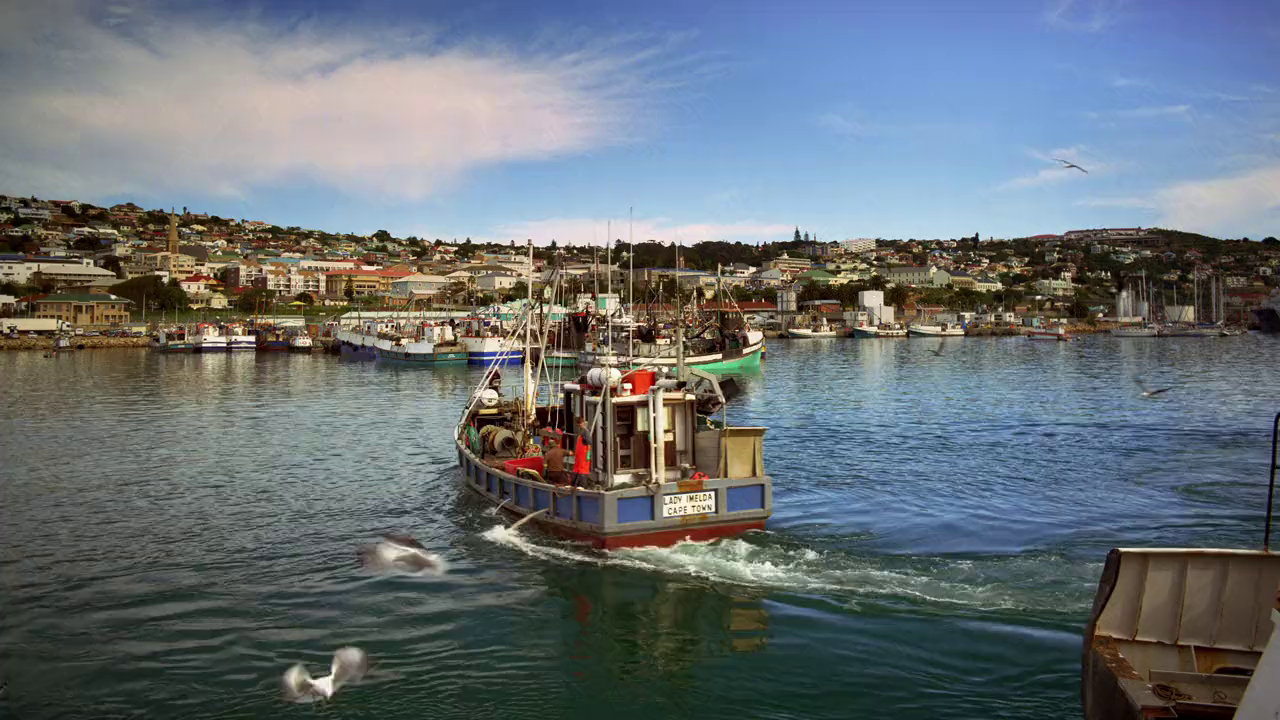 Wild Ocean (2008) BluRay English 720p x264 AVC AAC 2.0.mkv.0000